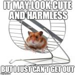 Hamster Labour | IT MAY LOOK CUTE AND HARMLESS; BUT I JUST CAN'T GET OUT | image tagged in hamster wheel,hamster weekend,funny,slavery,memes | made w/ Imgflip meme maker
