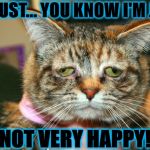 UNHAPPY CAT | I'M JUST... YOU KNOW I'M JUST; NOT VERY HAPPY! | image tagged in unhappy cat | made w/ Imgflip meme maker