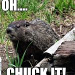 wouldchuck | OH.... CHUCK IT! | image tagged in wouldchuck | made w/ Imgflip meme maker