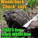 wouldchuck | Woodchuck "Chuck" says, "THAT'S how much WOOD! Now STOP asking!" | image tagged in wouldchuck | made w/ Imgflip meme maker