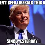 Donald Trump No2 | I HAVEN'T SEEN LIBERALS THIS ANGRY; SINCE YESTERDAY | image tagged in liberals,liberal logic,libtards,democrats,democratic party | made w/ Imgflip meme maker