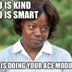 the help | YOU IS KIND           
YOU IS SMART; YOU IS DOING YOUR ACE MODULES | image tagged in the help | made w/ Imgflip meme maker