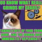 It's like they want her to starve. | YOU KNOW WHAT REALLY GRINDS MY GEARS? TAKING A BITE OF FOOD FROM MY BOWL, AND THE HUMAN DOESN'T IMMEDIATELY REPLENISH IT | image tagged in grumpy cat grinds my gears,memes,food | made w/ Imgflip meme maker