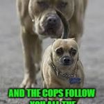 I work across the street from a police station so I get followed by cops all the time...LOL | WHEN YOU'RE A LATINO AND THE COPS FOLLOW YOU ALL THE WAY HOME FROM WORK | image tagged in big dog little dog,memes,paranoia,funny,dogs,animals | made w/ Imgflip meme maker