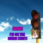 Give me that green light | HAHA! I'M ON THE GREEN LIGHT! | image tagged in give me that green light,chili the border collie,dogs,border collie | made w/ Imgflip meme maker