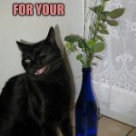 Black cat with rose | HAZ FLOWER; FOR YOUR | image tagged in rosecat cat flower blackcat | made w/ Imgflip meme maker