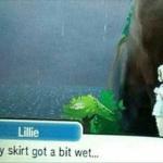 Pokemon Wet Skirt