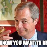 Nigel Farage | YOU KNOW YOU WANT TO BREXIT | image tagged in nigel farage | made w/ Imgflip meme maker