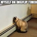 Give up cat | PUT MYSELF ON IMGFLIP TIMEOUT... | image tagged in give up cat,wasting time,imgflipper,meme,memes | made w/ Imgflip meme maker