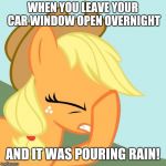 I had an... interesting morning! | WHEN YOU LEAVE YOUR CAR WINDOW OPEN OVERNIGHT; AND IT WAS POURING RAIN! | image tagged in aj face hoof,memes,rain,car,window,well shit | made w/ Imgflip meme maker