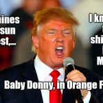 Donald Trump Orange | I know where the sun shines best-- 

Mammy, 
Mammy,... The sun shines east, the sun shines west,... Baby Donny, in Orange Face | image tagged in donald trump orange | made w/ Imgflip meme maker