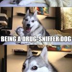 Dog Joker | I LOVE; BEING A DRUG-SNIFFER DOG; THAT WOULD BE COKE | image tagged in dog joker,funny dog memes,cocaine,detective | made w/ Imgflip meme maker