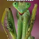 Praying Mantis Close Up | WE NEED THE MANTIS! KC ROYALS | image tagged in praying mantis close up | made w/ Imgflip meme maker