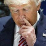Trump picking his nose
