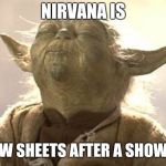 Yoda pleasure  | NIRVANA IS; NEW SHEETS AFTER A SHOWER | image tagged in yoda pleasure | made w/ Imgflip meme maker