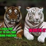 Why should the lions have all the fun? | I TOLD YOU NOT TO EAT THAT ALBINO POACHER; WORTH IT | image tagged in two tigers,memes,tigers,poachers,funny,animals | made w/ Imgflip meme maker