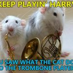 Tough audience... :) | KEEP PLAYIN' HARRY; YOU SAW WHAT THE CAT DONE TO THE TROMBONE PLAYER... | image tagged in musical animals,memes,music,animals,mice | made w/ Imgflip meme maker
