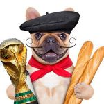 France World Cup 2018  | image tagged in france copa mundial fifa 2018,croatia,france,world cup,russia,dog | made w/ Imgflip meme maker