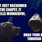 Darkside Dog | THEY JUST VACUUMED THE CARPET, IT SMELLS WONDERFUL. DRAG YOUR BUTT THROUGH IT. | image tagged in darkside dog | made w/ Imgflip meme maker