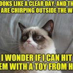 Not a morning cat | LOOKS LIKE A CLEAR DAY, AND THE BIRDS ARE CHIRPING OUTSIDE THE WINDOW I WONDER IF I CAN HIT THEM WITH A TOY FROM HERE | image tagged in memes,grumpy cat bed,grumpy cat,bad morning | made w/ Imgflip meme maker