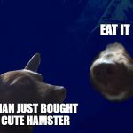 Darkside Dog | EAT IT; HUMAN JUST BOUGHT
 A CUTE HAMSTER | image tagged in darkside dog | made w/ Imgflip meme maker