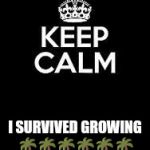 Keep calm keep it inside  | I SURVIVED GROWING 🌴🌴🌴🌴🌴🌴 UP IN INDIO, CA | image tagged in keep calm keep it inside | made w/ Imgflip meme maker