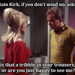 Captain Kirk Ensign Yeo | Captain Kirk, if you don't mind my asking... is that a tribble in your trousers, or are you just happy to see me? | image tagged in captain kirk ensign yeo | made w/ Imgflip meme maker