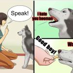 Insulting da hooman | I hate you hooman; Good boy! Wat | image tagged in wikihow dog training,wikihow | made w/ Imgflip meme maker