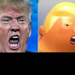 Trump and Trump Baby Blimp meme