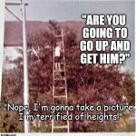 Not afraid of heights kid | "ARE YOU GOING TO GO UP AND GET HIM?"; "Nope, I'm gonna take a picture. I'm terrified of heights!" | image tagged in not afraid of heights kid | made w/ Imgflip meme maker