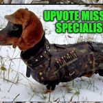 Armed 'n' Packin' | UPVOTE MISSILE SPECIALIST | image tagged in hunting doggo | made w/ Imgflip meme maker
