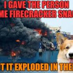 Disaster Corgi | I GAVE THE PERSON SOME FIRECRACKER SNACKS; BUT IT EXPLODED IN THERE. | image tagged in disaster corgi,snacks,firecrackers,explosion,yum | made w/ Imgflip meme maker