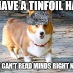 Chessie The Corgi | I HAVE A TINFOIL HAT; SO I CAN'T READ MINDS RIGHT NOW | image tagged in chessie the corgi,tinfoil hat,mind reading | made w/ Imgflip meme maker