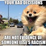 The medical profession is racist because African-American didn't accept pre-natal care and died? | YOUR BAD DECISIONS; ARE NOT EVIDENCE OF SOMEONE ELSE'S RACISM | image tagged in bad decisions dog | made w/ Imgflip meme maker