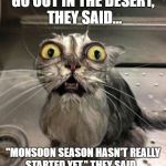 Astonished Wet Cat | "GO OUT IN THE DESERT," THEY SAID... "MONSOON SEASON HASN'T REALLY STARTED YET," THEY SAID... | image tagged in astonished wet cat | made w/ Imgflip meme maker