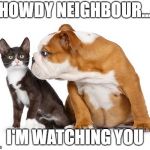 Bulldog Kitten | HOWDY NEIGHBOUR... I'M WATCHING YOU | image tagged in bulldog kitten | made w/ Imgflip meme maker
