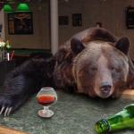 drunk bear