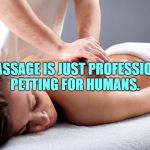 massage | A MASSAGE IS JUST PROFESSIONAL PETTING FOR HUMANS. | image tagged in massage,funny,memes,funny memes,stress | made w/ Imgflip meme maker