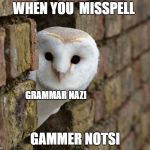 owl | WHEN YOU  MISSPELL; GRAMMAR NAZI; GAMMER NOTSI | image tagged in owl | made w/ Imgflip meme maker