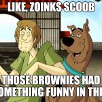 Stoned Scooby Doo and Shaggy | LIKE, ZOINKS SCOOB; THOSE BROWNIES HAD SOMETHING FUNNY IN THEM | image tagged in stoned scooby doo and shaggy,memes,scooby doo,tremors | made w/ Imgflip meme maker