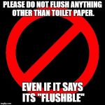 No SIgn | PLEASE DO NOT FLUSH ANYTHING OTHER THAN TOILET PAPER. EVEN IF IT SAYS ITS "FLUSHBLE" | image tagged in no sign | made w/ Imgflip meme maker