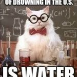 SMART CAT | THE LEADING CAUSE OF DROWNING IN THE U.S. IS WATER | image tagged in smart cat | made w/ Imgflip meme maker