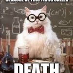 SMART CAT | EVERY YEAR, PEOPLE DIE BECAUSE OF THIS THING CALLED; DEATH | image tagged in smart cat | made w/ Imgflip meme maker