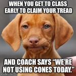 Thug life dog | WHEN YOU GET TO CLASS EARLY TO CLAIM YOUR TREAD; AND COACH SAYS “WE’RE NOT USING CONES TODAY.” | image tagged in thug life dog | made w/ Imgflip meme maker