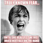 Psycho Shower | A MOTHER HASN'T TRULY KNOWN FEAR... UNTIL SHE REALIZES SHE JUST DRIED HER FACE ON THE HAND TOWEL IN THE FAMILY BATHROOM. | image tagged in psycho shower | made w/ Imgflip meme maker