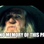 When you check your bank account after a major shopping spree... ;) | I HAVE NO MEMORY OF THIS PAYMENT | image tagged in gandalf no memory,money,shopping,online shopping,credit card,paycheck | made w/ Imgflip meme maker