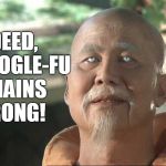 Kung Fu Po | INDEED, MY GOOGLE-FU REMAINS STRONG! | image tagged in kung fu po | made w/ Imgflip meme maker