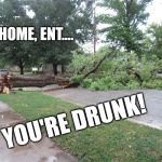 Go home, Ent...you're drunk! | GO HOME, ENT.... YOU'RE DRUNK! | image tagged in fallen tree,ents,drunk | made w/ Imgflip meme maker