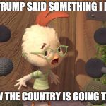 CNN + MSNBC = Chicken Little | DONALD TRUMP SAID SOMETHING I DONT LIKE; SO NOW THE COUNTRY IS GOING TO HELL ! | image tagged in chicken little | made w/ Imgflip meme maker