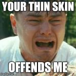 Irony or Hypocrisy? | YOUR THIN SKIN OFFENDS ME | image tagged in crybaby liberal leonardo | made w/ Imgflip meme maker